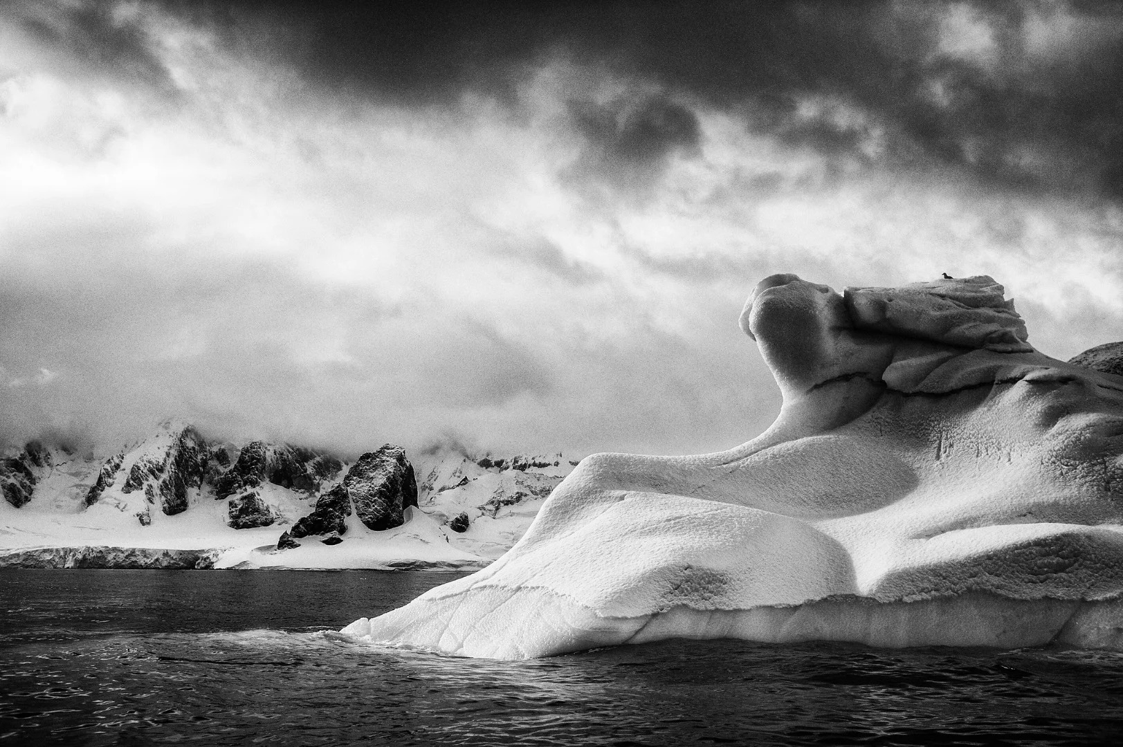 A series Floriuk created in 2015 during a trip to Antarctica