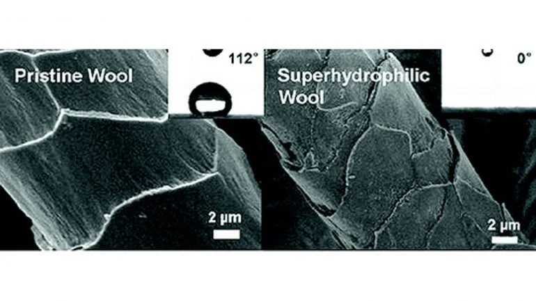 The silica nanoparticle coating changes the surface of the wool to make it more water absorbent (Image American Chemical Society)