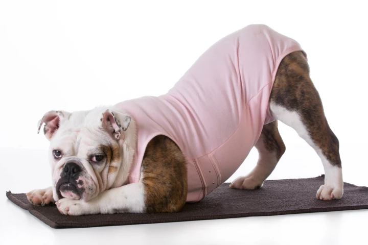 Yoga might help you come out of the COVID-19 era stronger, calmer, more content and positive than you went in