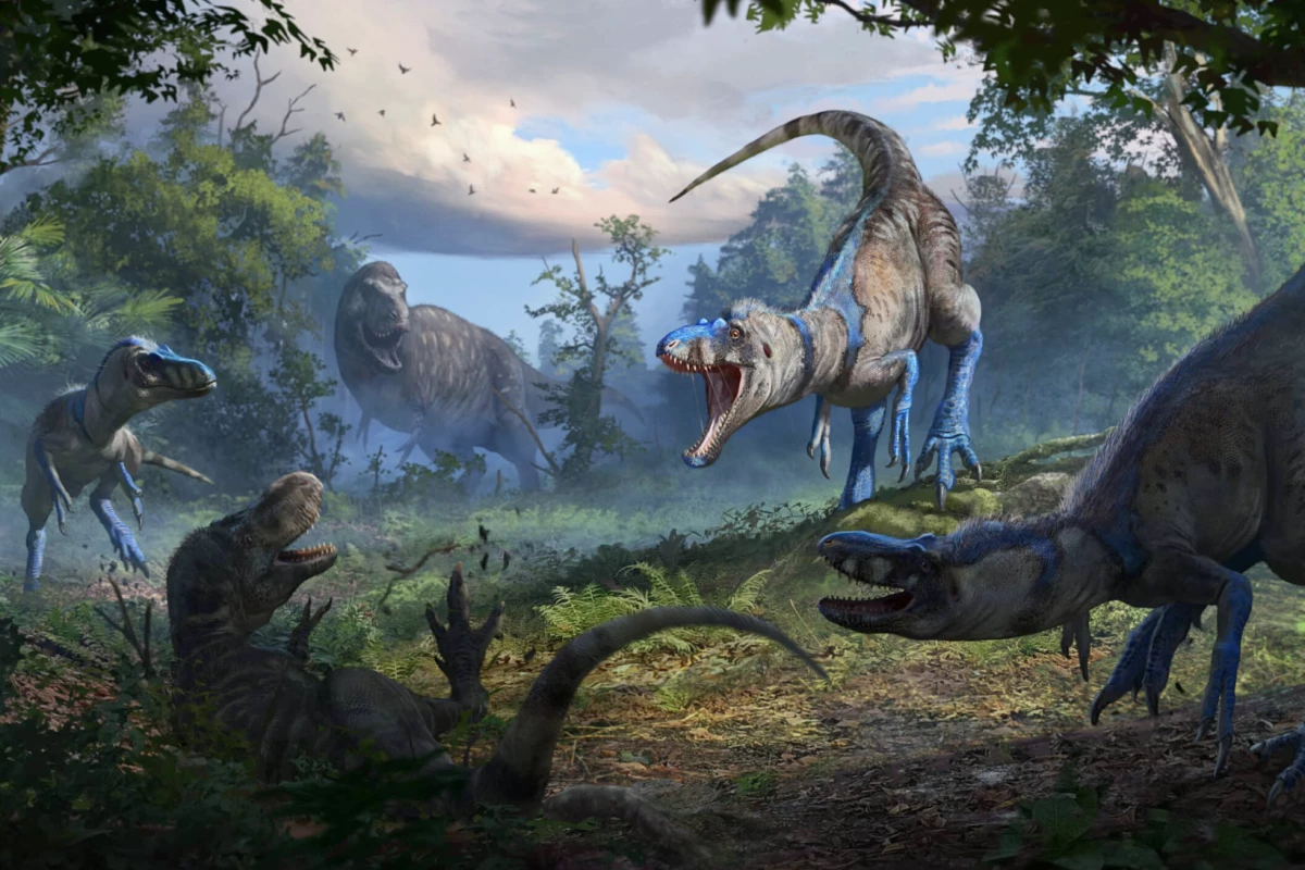 A pack of Nanotyrannus brazenly attacks a juvenile T. rex