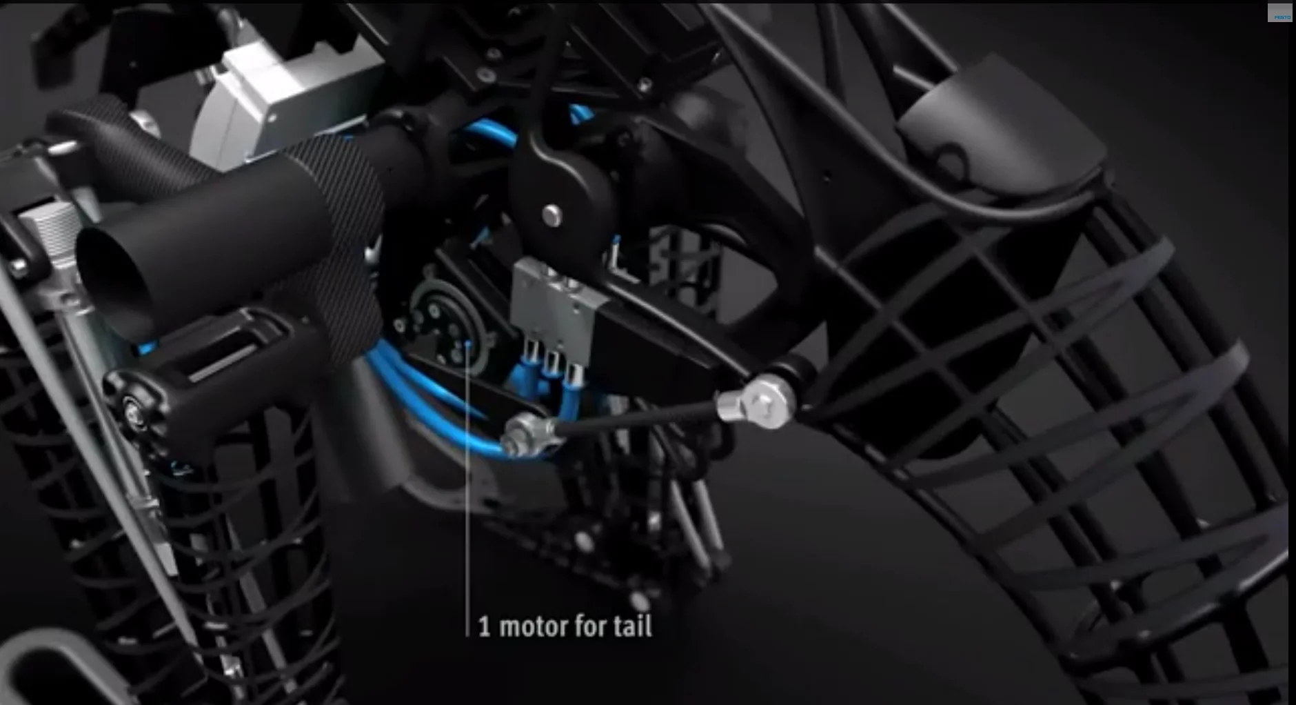 The tail is actuated with a single motor (Image: Festo)
