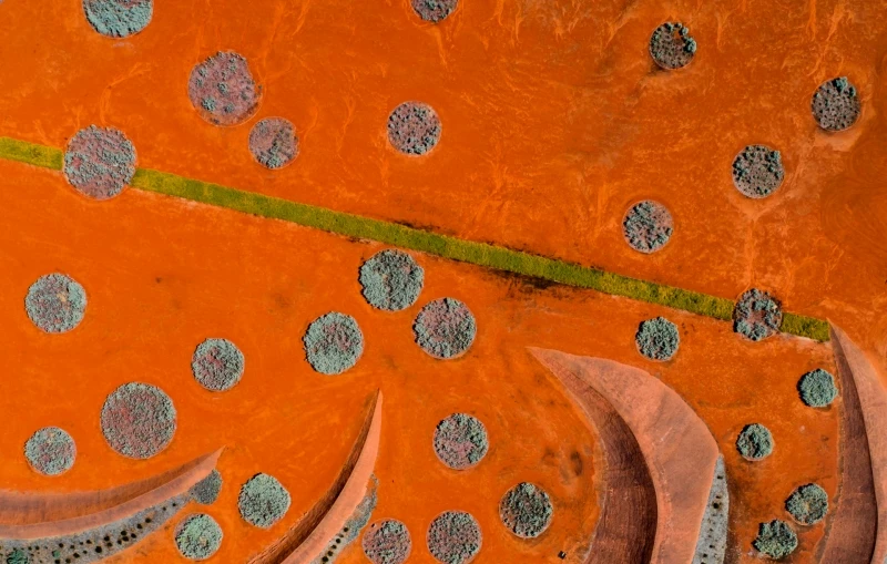 Red Sand Garden: Highly Commended in the Nature category