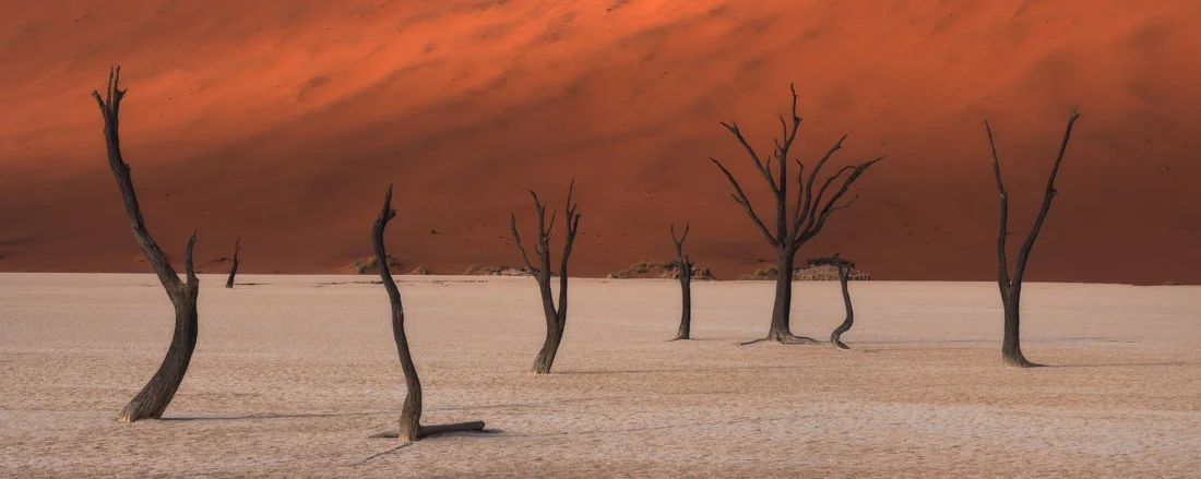 Here is a selection of spectacular favorites from the shortlisted photographs in the Amateur - Nature / Landscape category