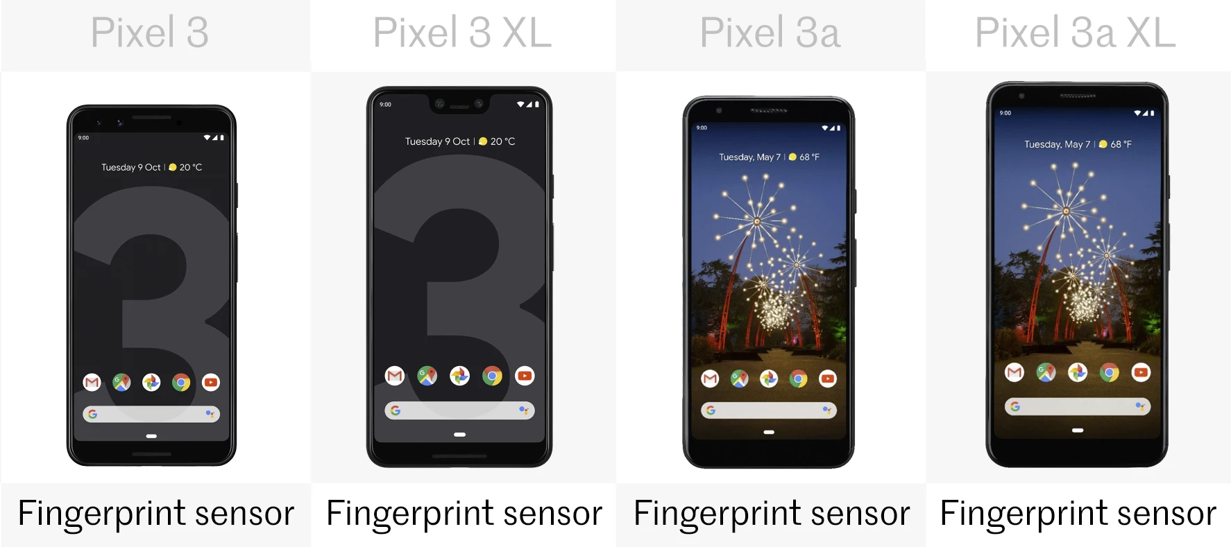 Biometrics