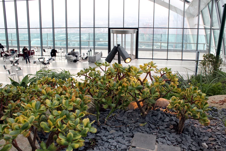 Looking down into the Sky Garden atrium from one of the terraces (Photo: Stu Robarts/Gizmag)