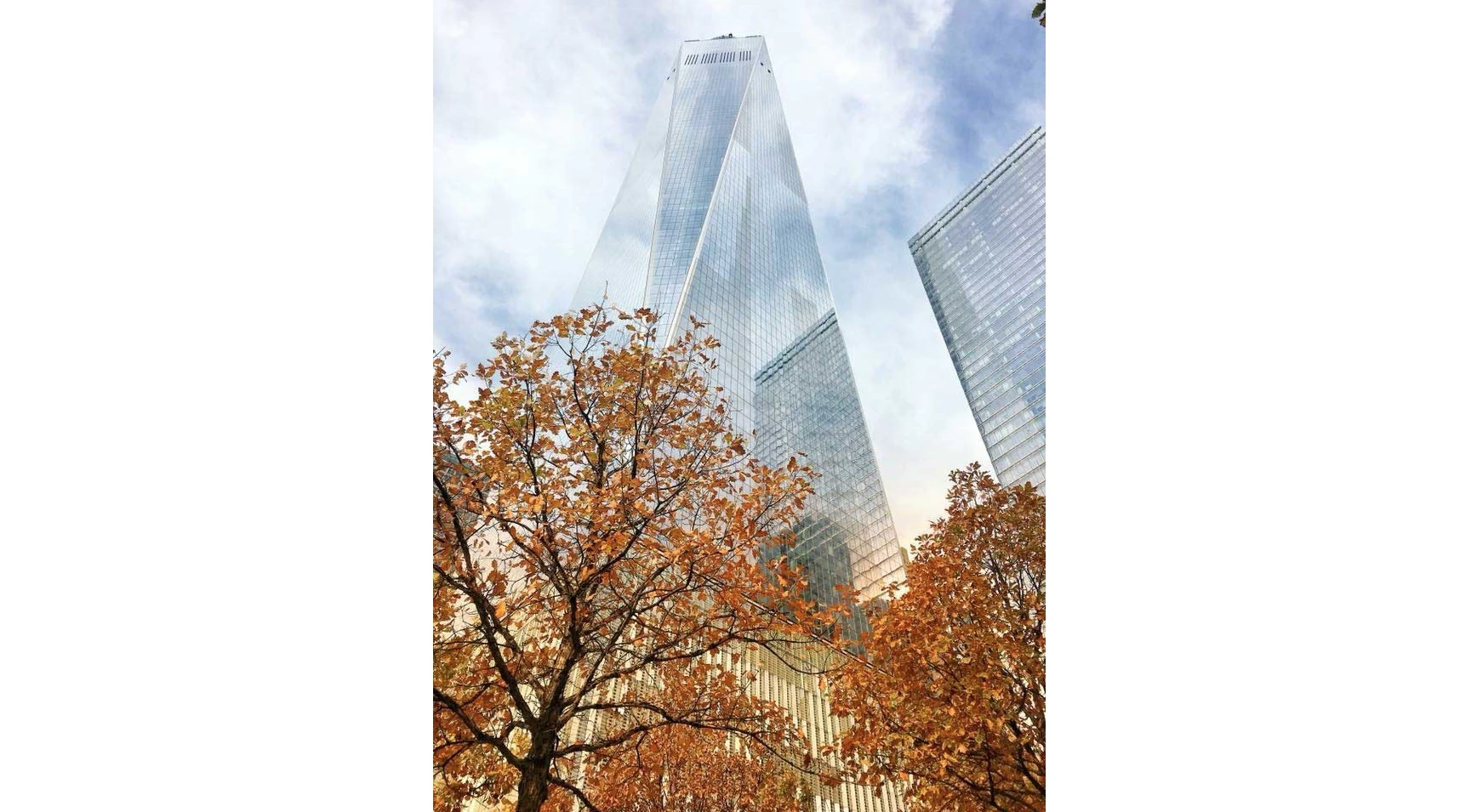 A winner in the Cities and Nature category, Autumn in the Big Apple, the new World Trade Center