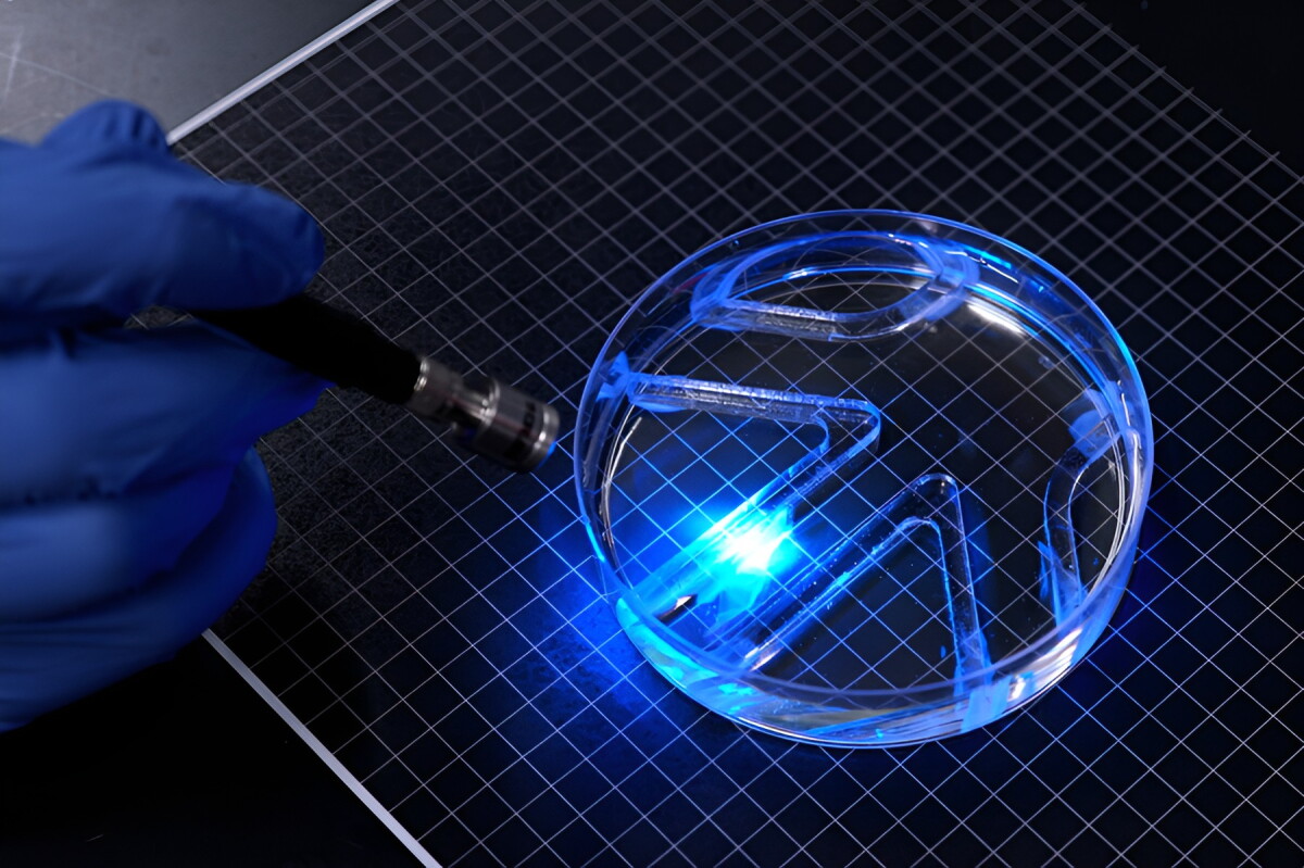 MIT robot swims through water via living muscle cells