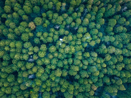 China's Secret Camp offers a unique forest retreat