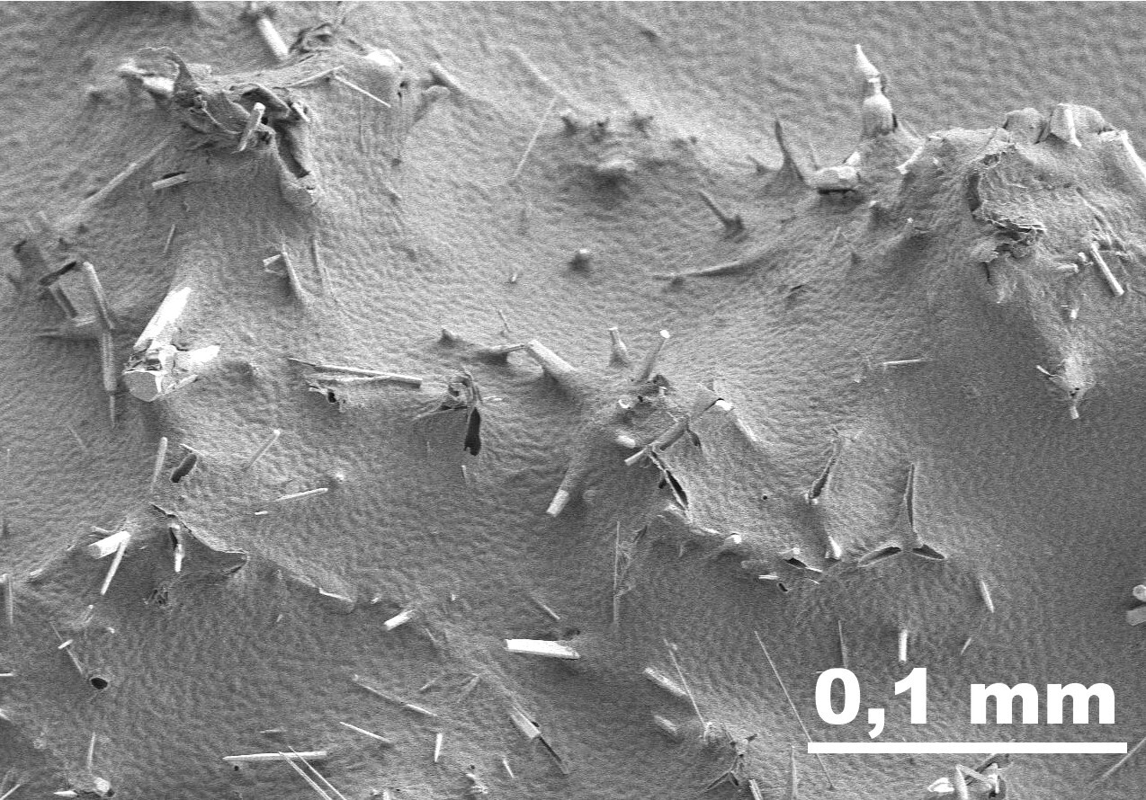 Zinc oxide tetrapods sinking into a PTFE surface during the heating phase of PTFE-silicone bonding (Image: Xin Jin, Copyright CAU)