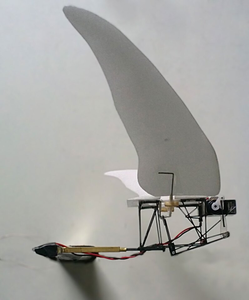 Researchers inspired by the wings of swifts and swftlets have developed an experimental Micro Air Vehicle which combines flapping and gliding flight modes for improved efficiency