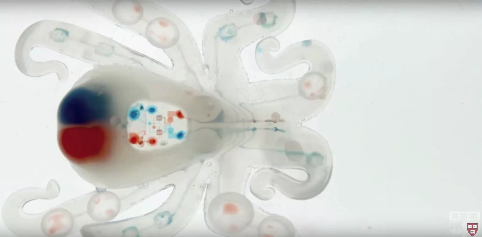 Octobot's design mimics that of an octopus