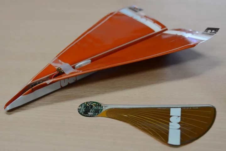 The Polyplane and the Samara are disposable UAVs designed to help monitor forest fires (Photo: University of Queensland)