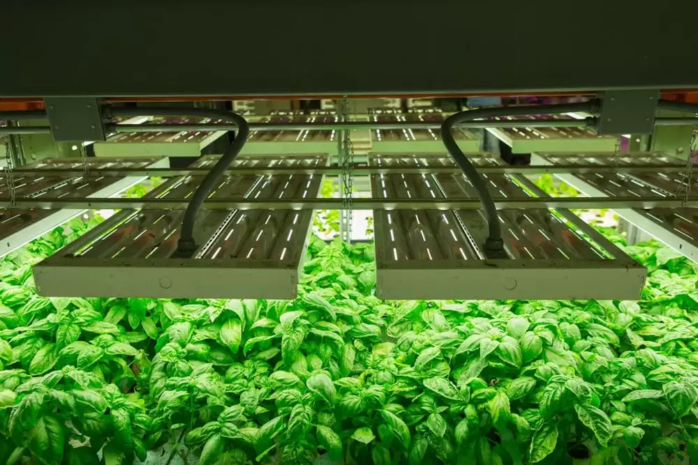 Vertical farms would bring agriculture to the cities