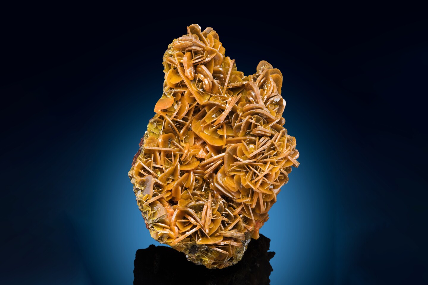 Wulfenite; 18.5 cm tall. Glove Mine, Devil's Cash Box Ridge, Amado, Cottonwood Canyon, Tyndall District, Santa Rita Mts, Santa Cruz County, Arizona, USA. Rock H. Currier collection (5211); Mark Mauthner photo.