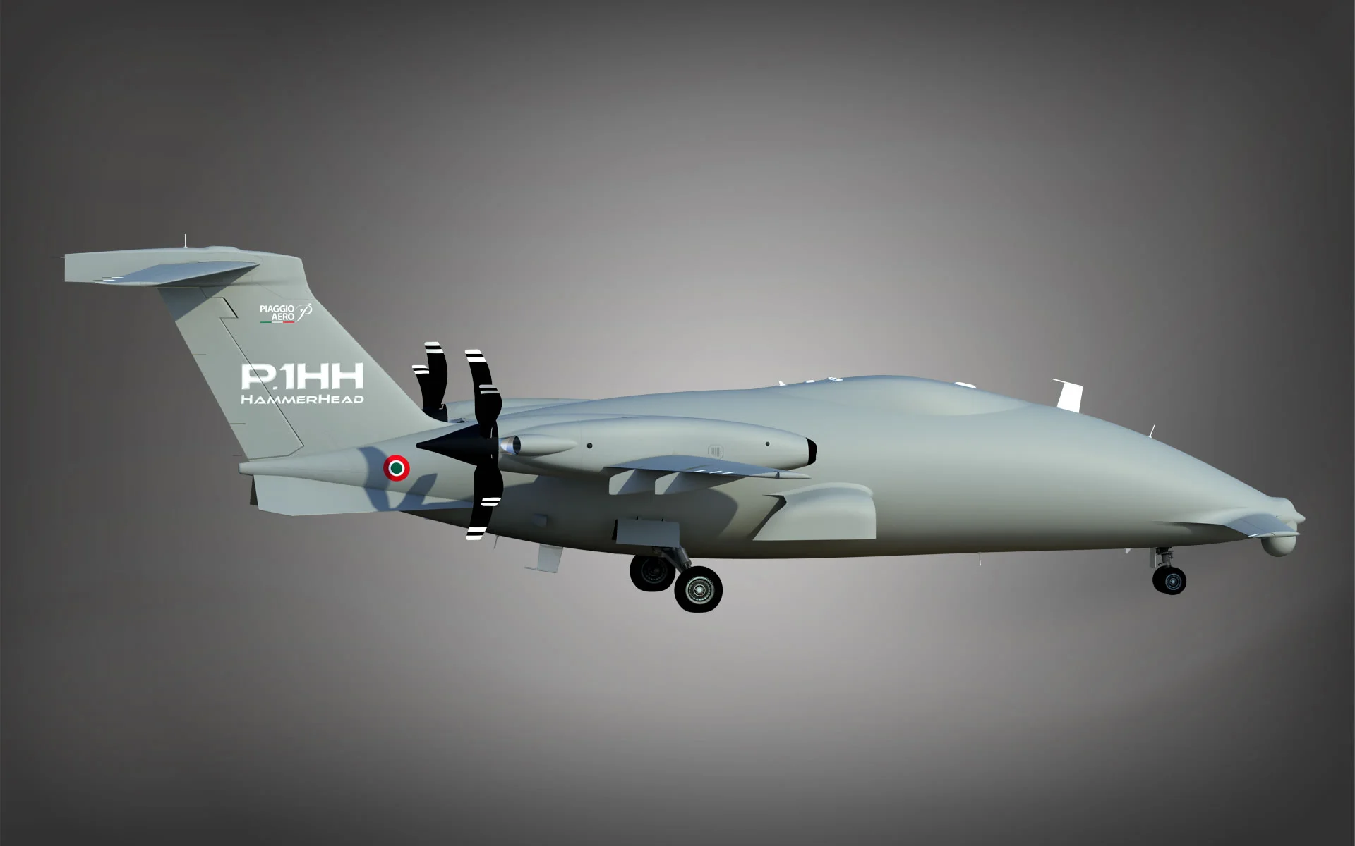 Artists side view of the HammerHead with the bulge on the top for the radar and satellite antennas (Photo: Piaggio)