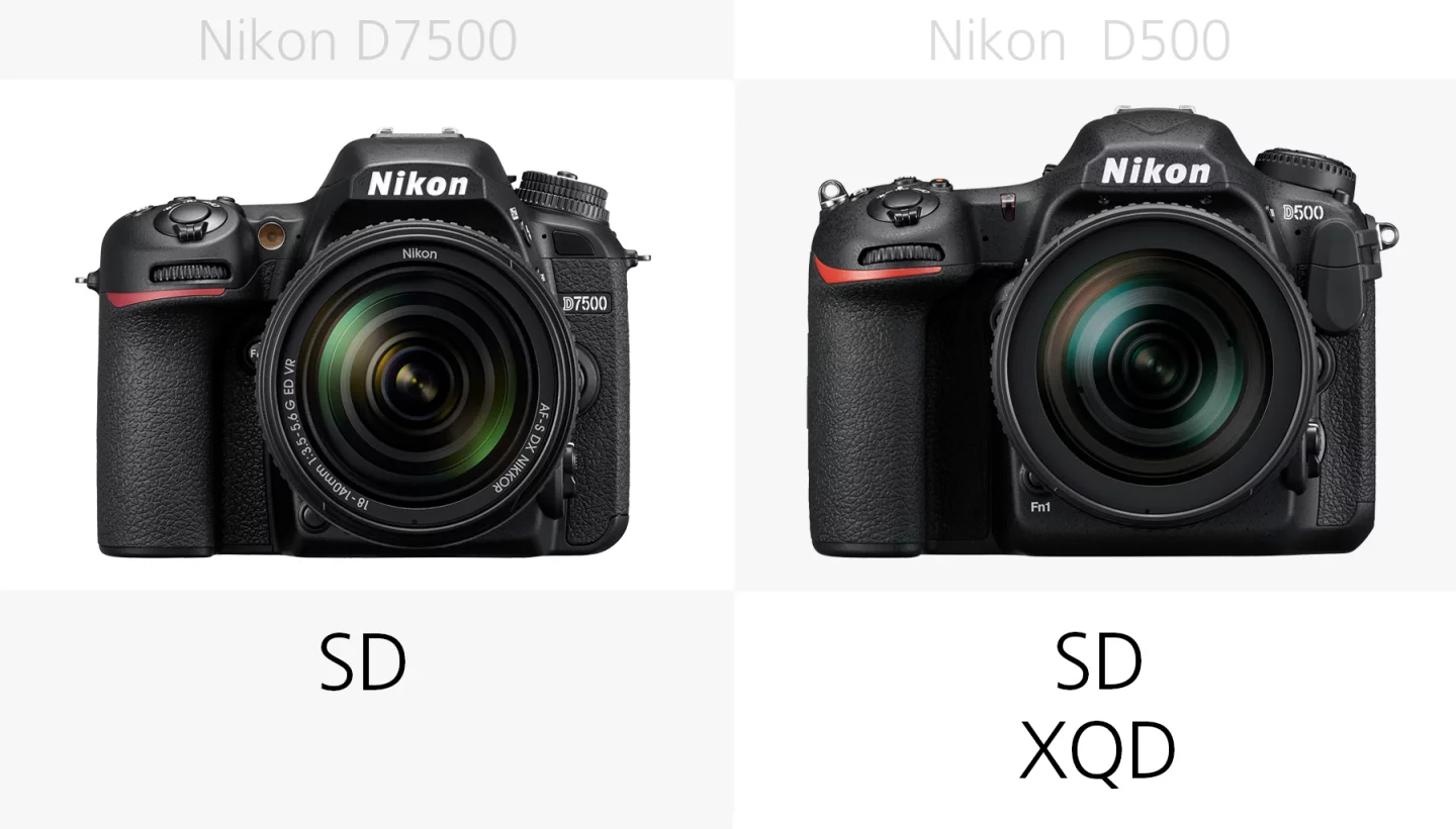The storage media of the Nikon D7500 and Nikon D500 compared