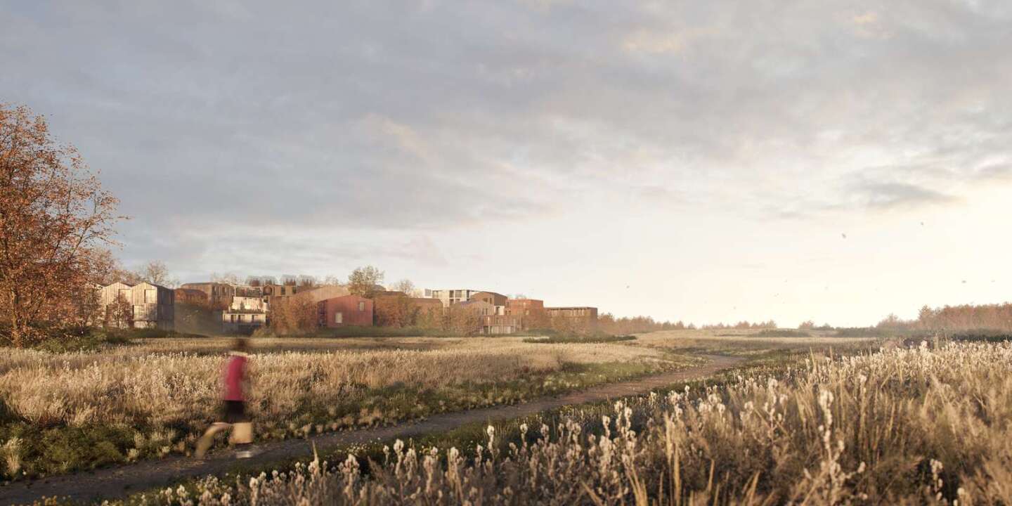 40 percent of the 18.1 hectare (44 acre) Fælledby masterplan will be left underdeveloped to allow nature to thrive