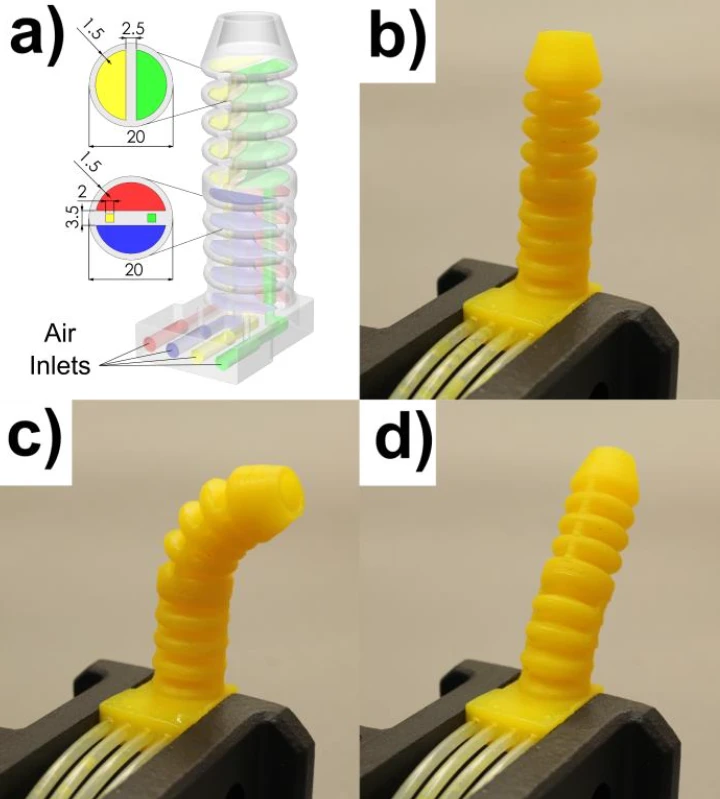 The researchers used their new technique to produce pairs of actuators they say mimc the function of octopus tentacles