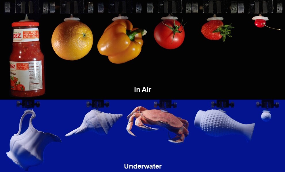 The device can adhere to and lift objects both in the air and underwater