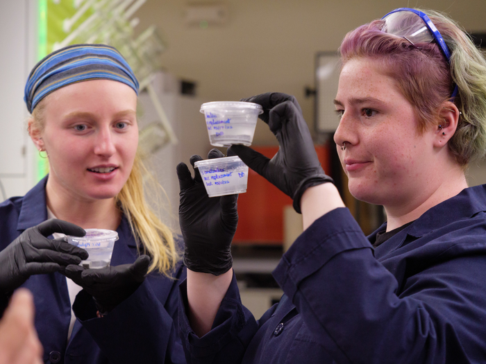 Students working on carbon neutral cement using biogenic limestone at the University of Colorado Boulder