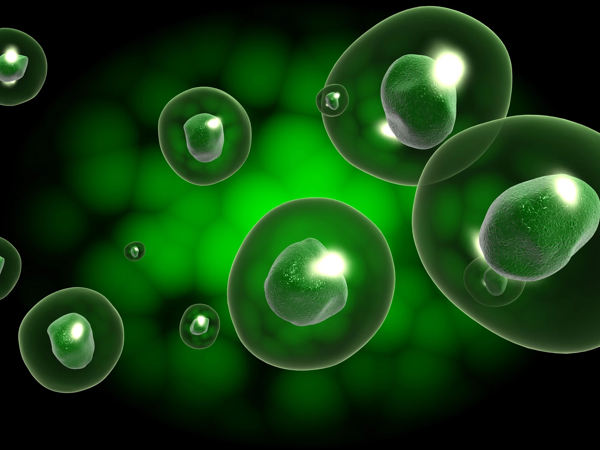 A new study has uncovered a new platform for cells to talk to one another, which appears to play a role in the aging process
