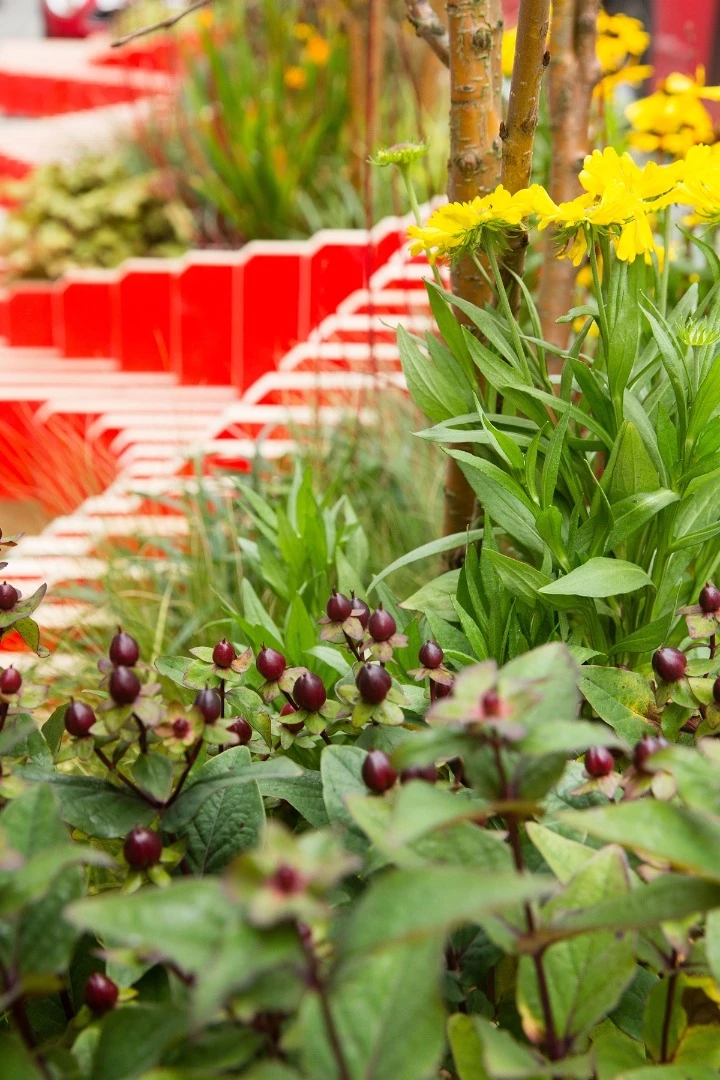 ParkedBench boasts a mixture of planting
