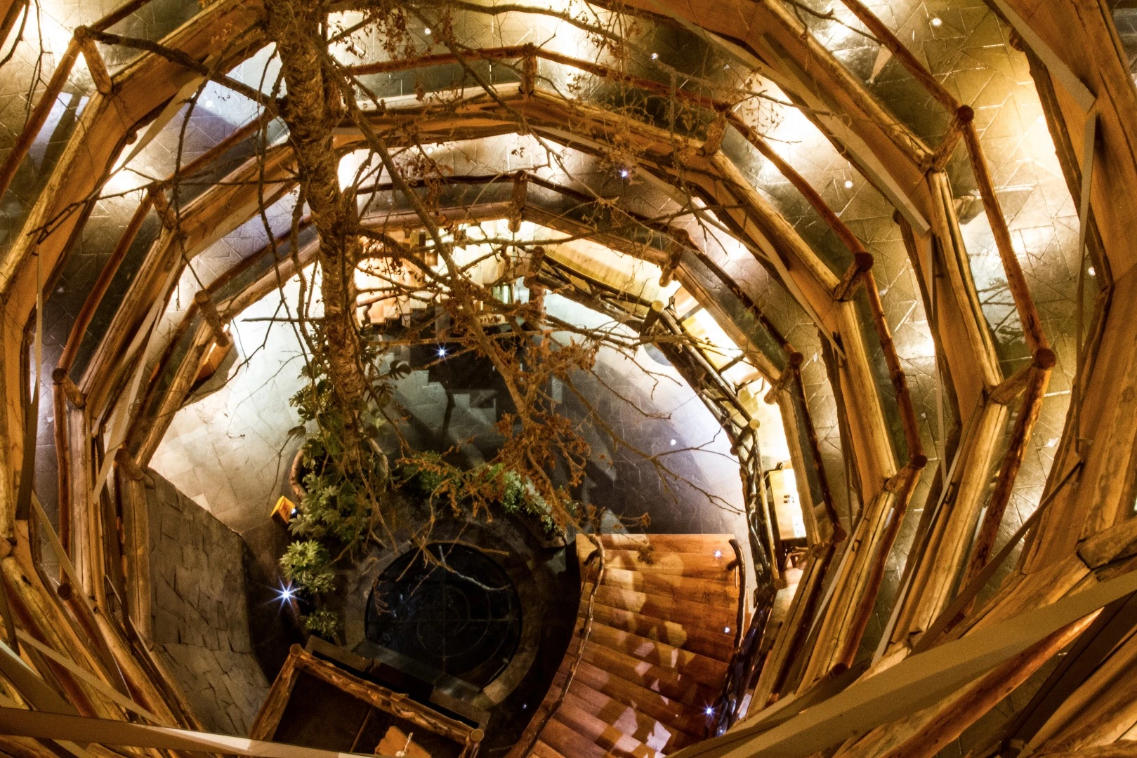 Of all the interiors, the Nothofagus's grand atrium is undeniably the most impressive