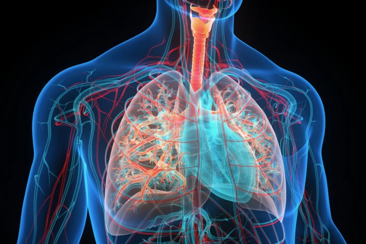 The new storage technique should mean that many more people who need lung transplants will be able to get them
