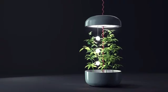 The Plantui Plantation measures 45 cm (17.7 in) in diameter with an adjustable height of 28 to 200 cm (11 to 78 in)