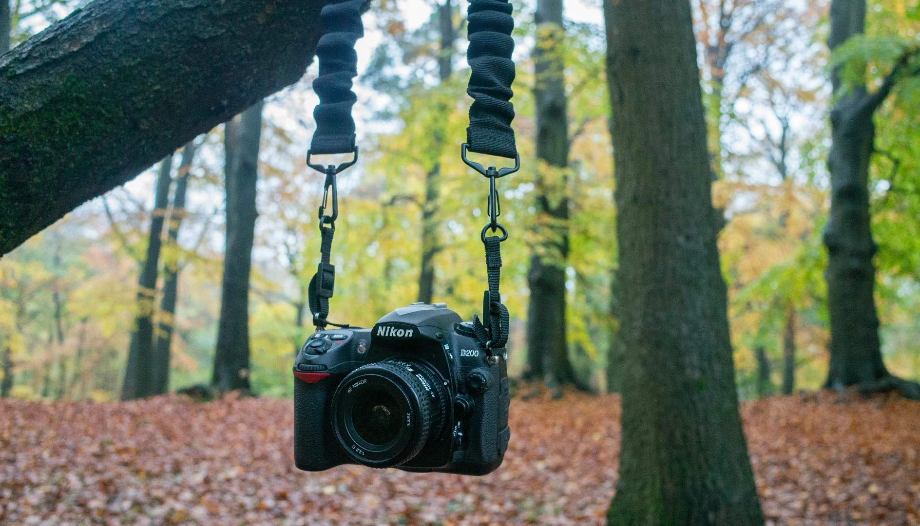 The bungee cord in the Boomr camera strap give it a bounce which can take time to get used to