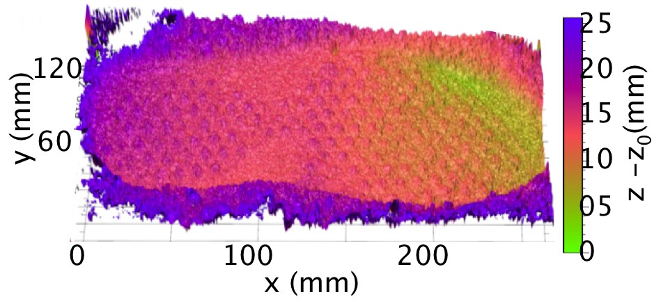 3D shoe imprint showing depth of detail (Image: Baumann/NIST)