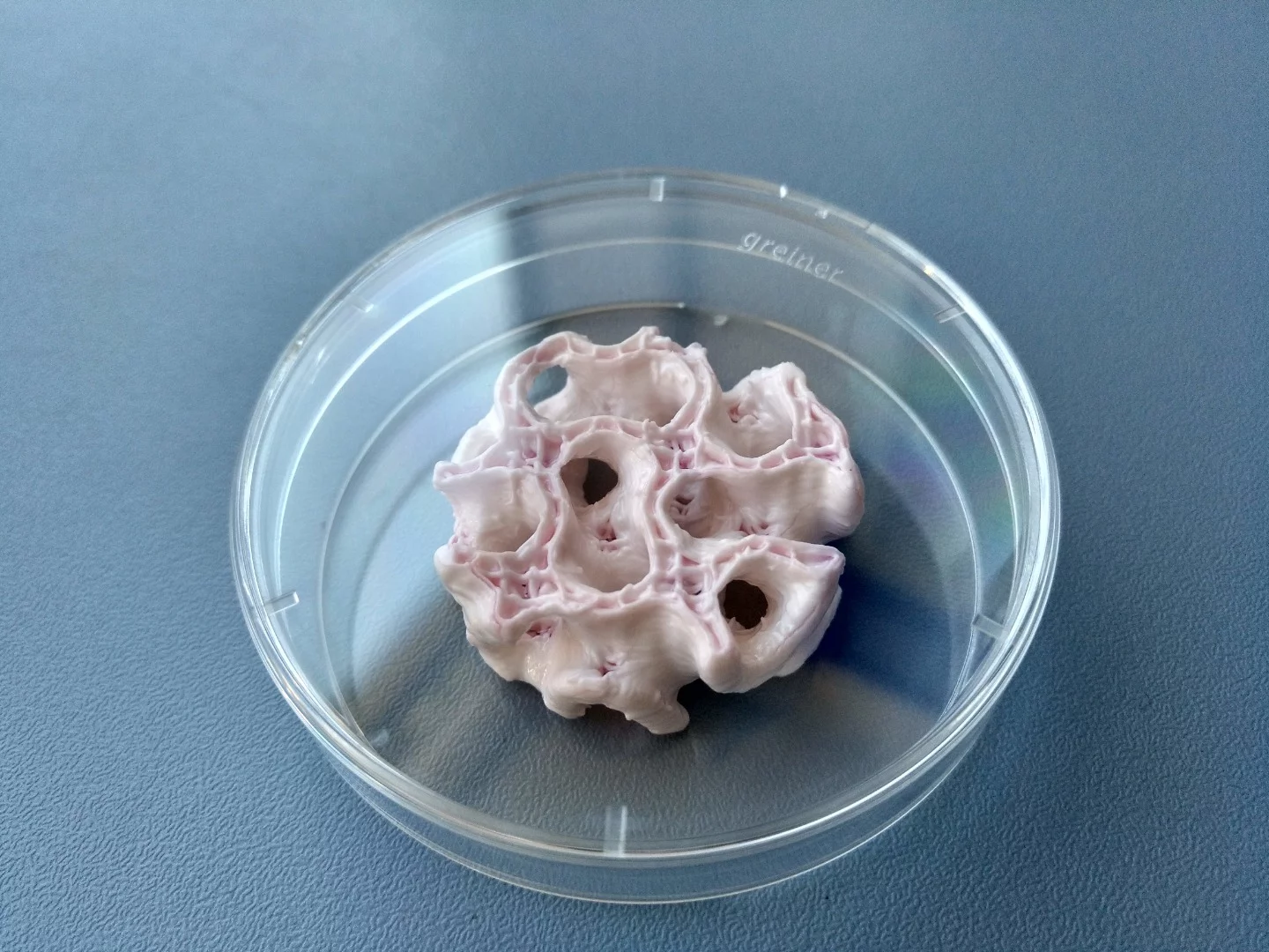 Bioprinted bone growing in a lab