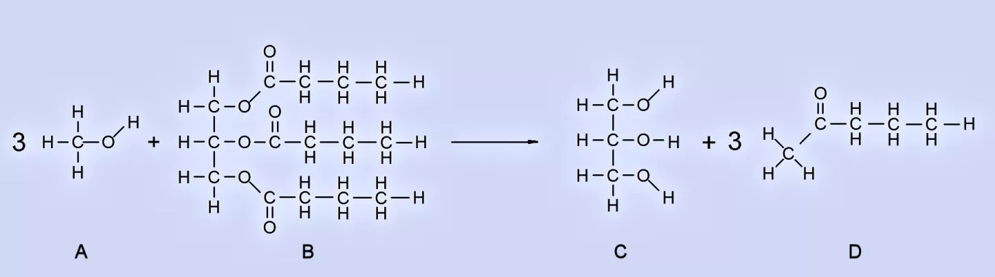 Transesterification converts A (methyl alcohol) and B (vegetable oil) into C (glycerin) and D (biodiesel) (Image: B. Dodson)