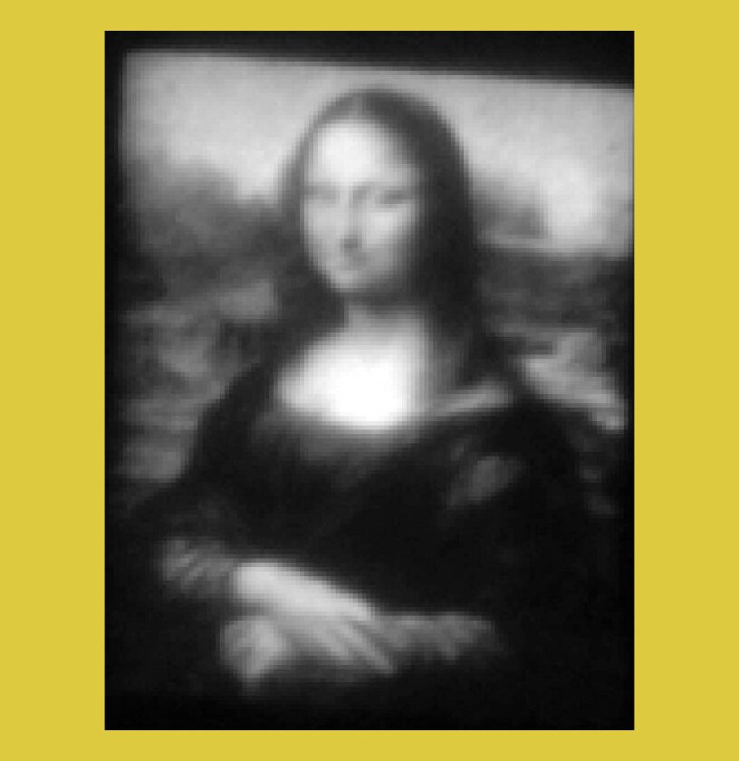 Mini Lisa is a 30 x 40 micron gray-scale QVGA rendering of Leonardo's Mona Lisa