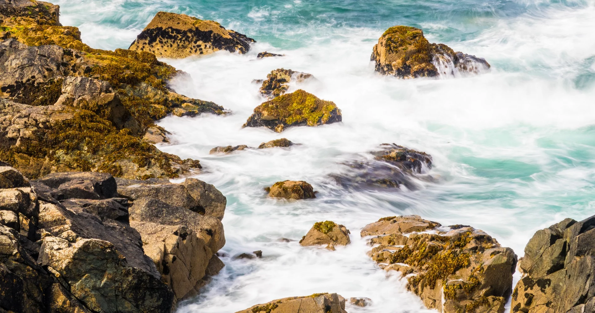 Manual settings are typically easier to access on traditional digital cameras, meaning users can adjust settings depending on the photo they want to take