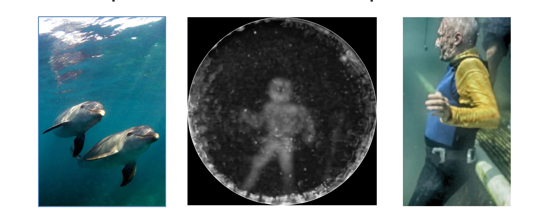Images of the diver