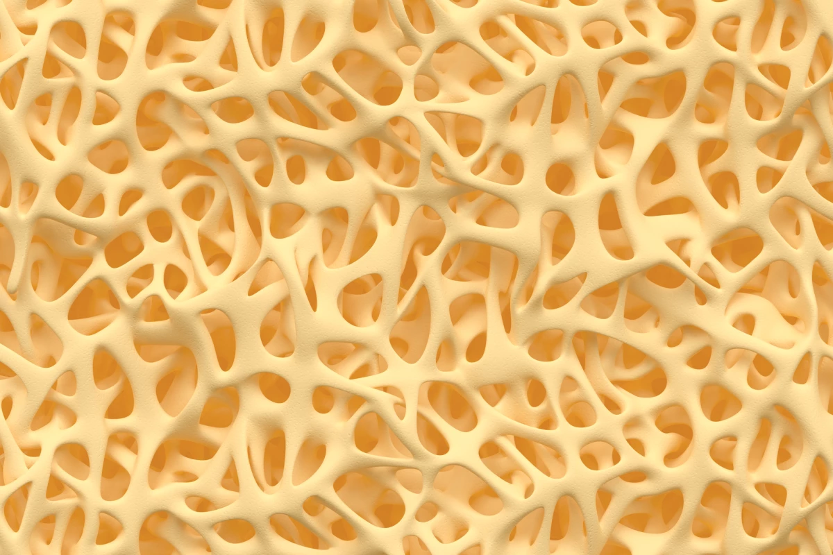 The FmocFF/HA hydrogel mimics the extracellular matrix of natural bone tissue (pictured)