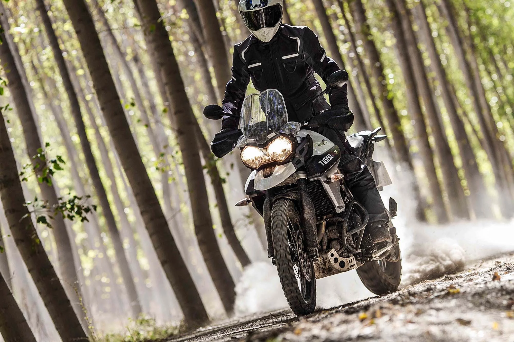 Triumph's Tiger 800 XCx