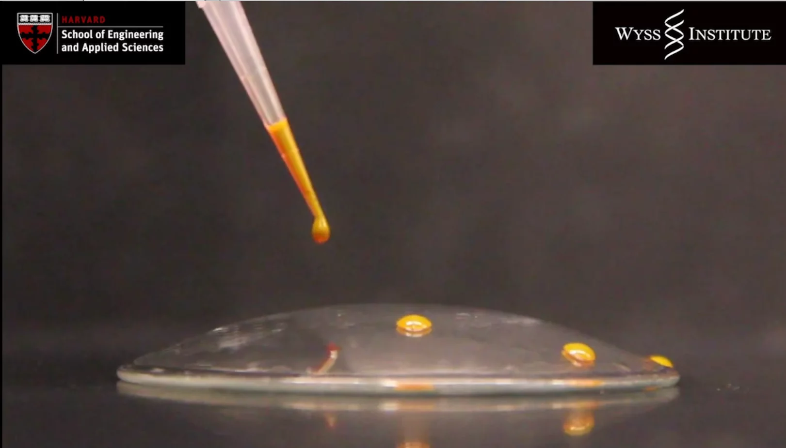 The researchers hope to start bettering the superglass coating for use on curved surfaces and various plastics