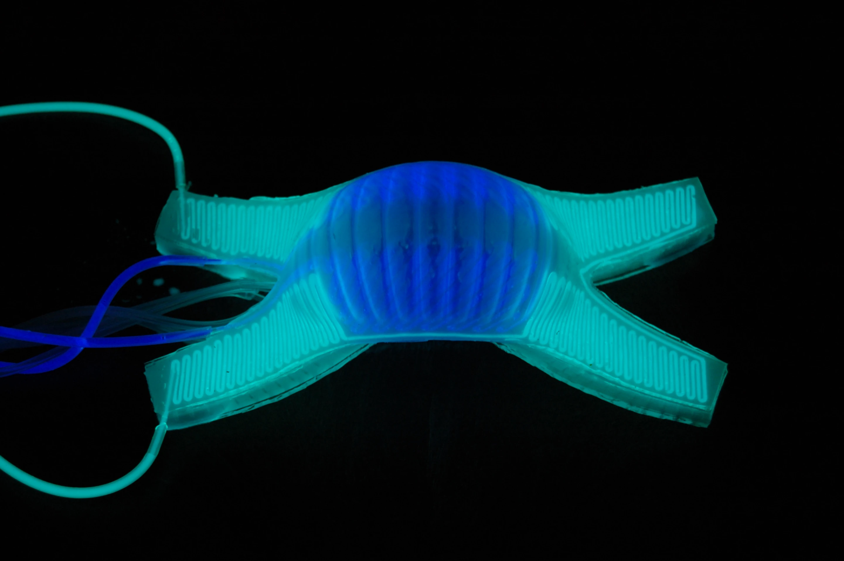 A soft-bot filled with florescent fluid (Photo: DARPA)
