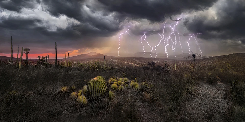 Nominee, Amateur, Landscape. Landscapes of the Tehuacán-Cuicatlán Biosphere Reserve in Mexico