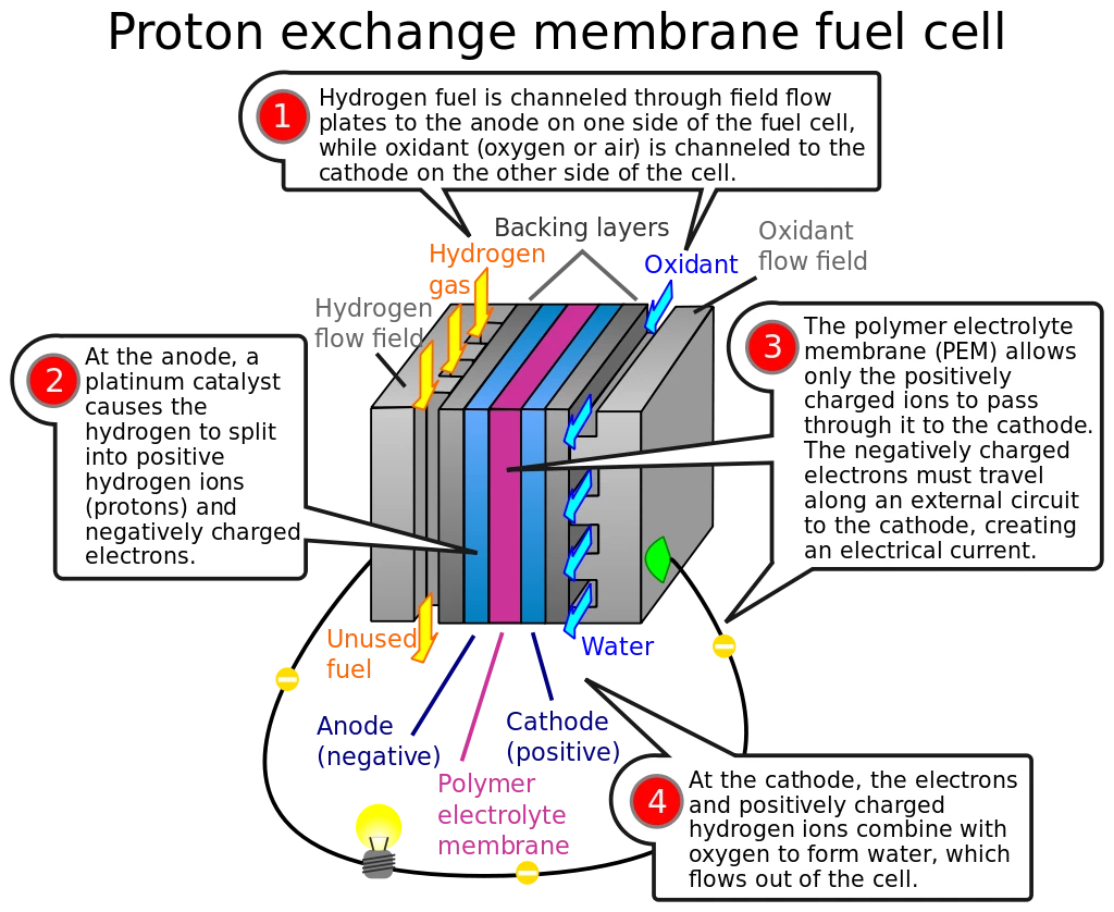 Basic diagram showing the key components of a proton exchange membrane fuel cell