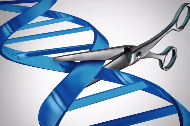 A new study has found that CRISPR gene-editing may have unintended genetic side effects