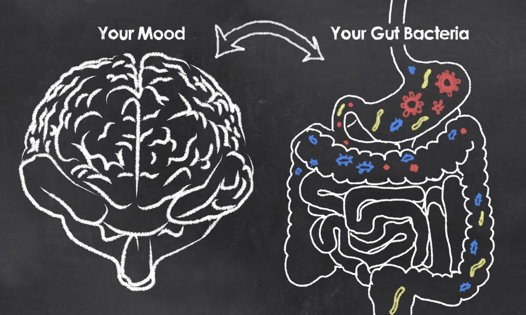 Examining over 1,000 people, a new study revealed two bacteria in particular as being strongly associated with mood and depression