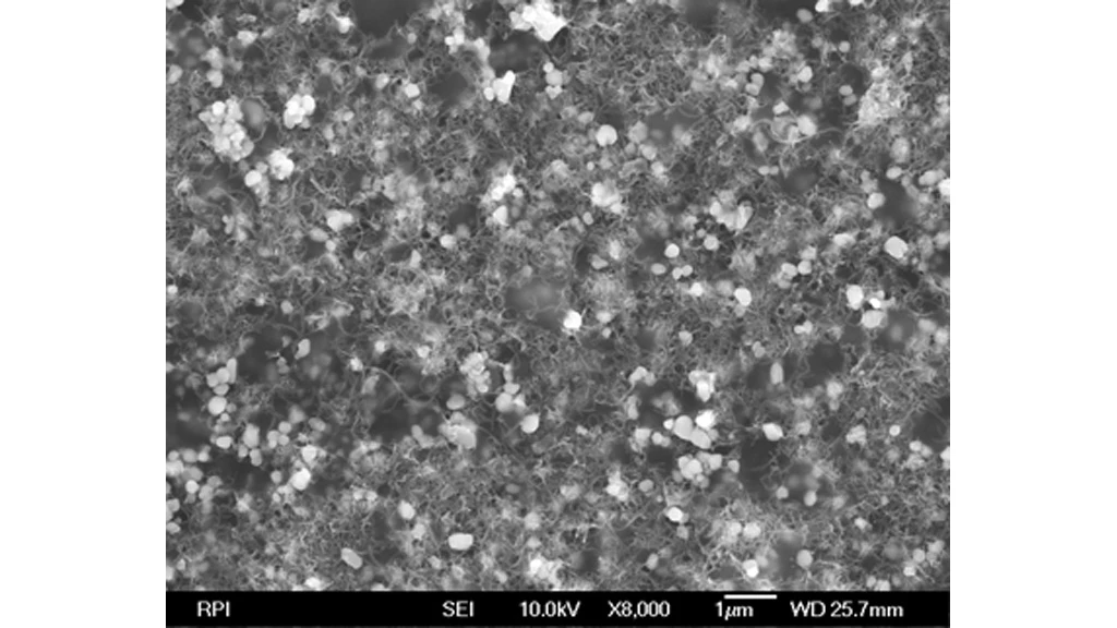 Scanning electron microscopy image of nanocomposite film (Image: Rensselaer/Ravindra C.Pangule and Shyam Sundhar Bale)