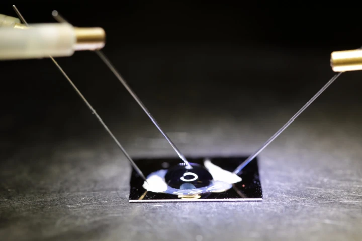 A new graphene-based DNA mutation sensor can quickly and easily indicate the presence of a range of cancers and other life-threatening illnesses in real-time and low-cost