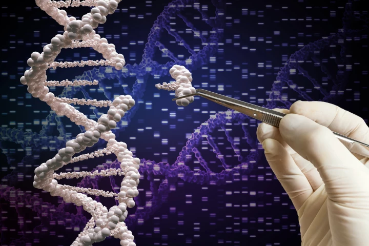 Researchers have used a nonviral method to increase the efficiency of CRISPR/Cas9 gene editing tech and provide a new way to repair DNA