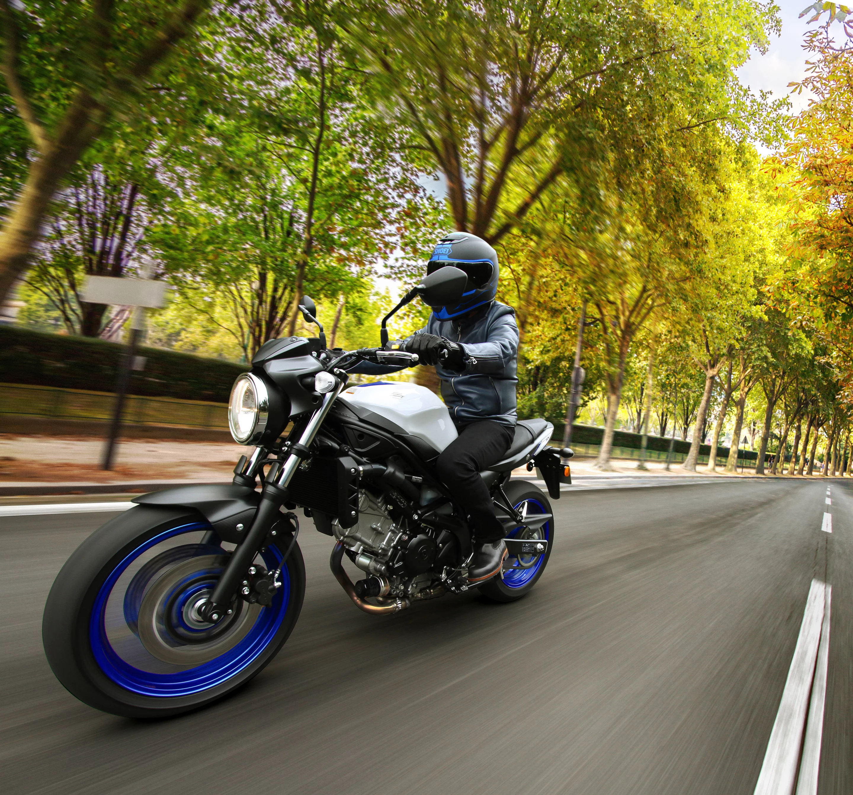 The Suzuki SV650 in action