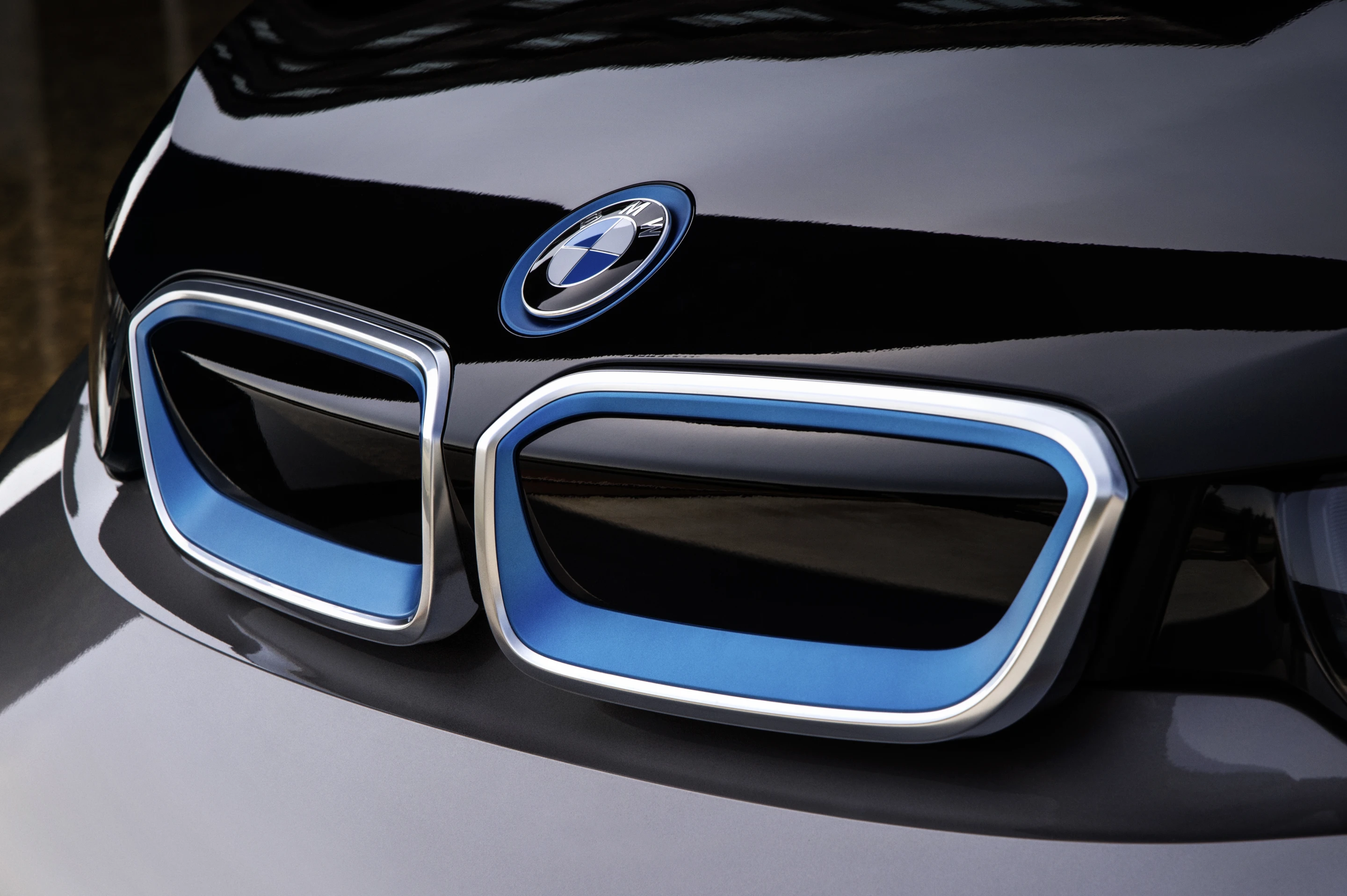 The BMW kidney grille