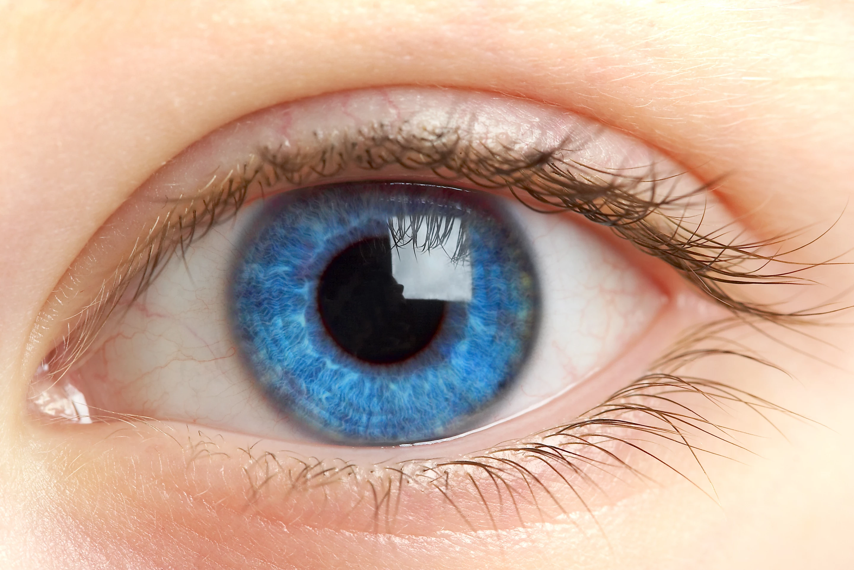 Vuity eyedrops have gone on sale as an alternative to reading glasses